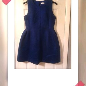 Blue Ladies Dress